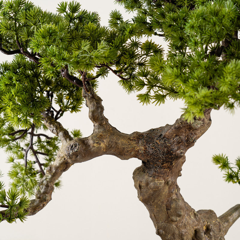 65cm Artificial Pine Bonsai Tree in Cement Effect Pot